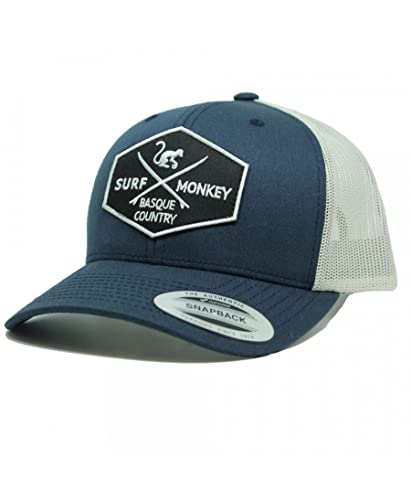 DRESSED IN MUSIC PLAY WITH ME Gorra Tipo Trucker Origins Beisbol Ajustable - Gorras de Hombre/Mujer (Azul/Gris)